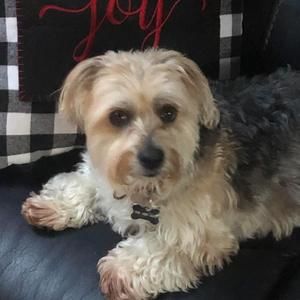 Meet your Posher, Joanne